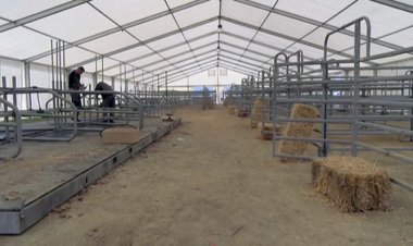 CAP DE SETMANA DE CONCURSOS DE BESTIAR A PUIGCERDÀ