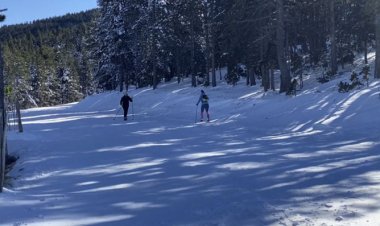 TOT NÒRDIC OPTA A UN AJUT D’1,6 MILIONS D’EUROS DELS FONS NEXT GENERATION