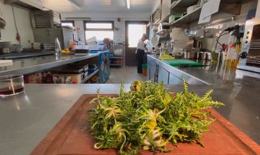 TEMPS DE XICOIES ALS RESTAURANTS CERDANS