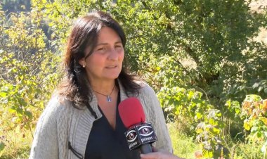PRODUEIXEN FRUITS DEL BOSC ECOLÒGICS A LLES DE CERDANYA