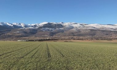 LA COMUNITAT DE REGANTS DEL REC GROS DE PRULLANS CELEBRA 200 ANYS