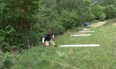 PLANTACIÓ DE FRUITERS PER ENRIQUIR LES ÀREES OSSERES DEL PIRINEU