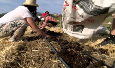 L’ESCOLA AGRÀRIA DEL PIRINEU ENGEGA UN NOU CURS D’HORTICULTURA DE MUNTANYA
