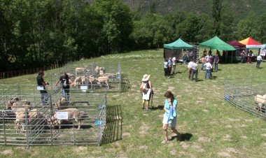 NOVENA EDICIÓ DE LA FIRA DE PRODUCTORS DE L’ALT PIRINEU I L’OVELLA ARANESA