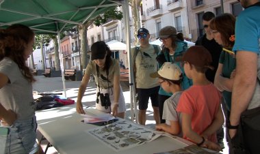 TREMP ANIMA A LA CIUTADANIA A FER CIÈNCIA EN UNA JORNADA DIVULGATIVA I PRÀCTICA