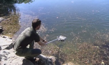 INTRODUEIXEN 50.000 TRUITES A L'ESTANY DE PUIGCERDÀ PER MILLORAR-NE LA BIODIVERSITAT