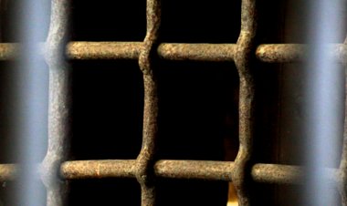 NOU PROJECTE PER LOCALITZAR FOSSES COMUNES A L’ALT URGELL