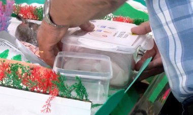 1.895 FAMÍLIES DE LA SEU JA DISPOSEN DE TÀPERS PER COMPRAR PRODUCTES FRESCOS