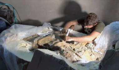 DESCRITA UNA NOVA ESPÈCIE DE DINOSAURE QUE VA VIURE ALS PIRINEUS FA 70 MILIONS D’ANYS