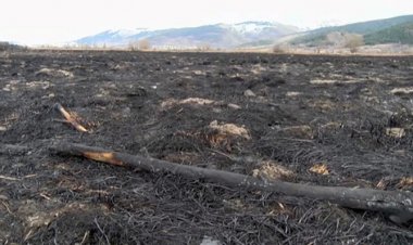 ELS BOMBERS EXTINGEIXEN DOS INCENDIS DE VEGETACIÓ GAIREBÉ SIMULTANIS