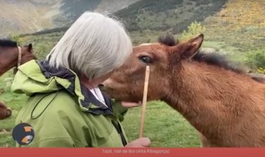 Criadors de cavalls de Taüll: Connecta Lleida Pirineus 13 de juny