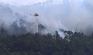 NOU INCENDI ENTRE ALTÉS I OGERN A BASSELLA PER UN LLAMP