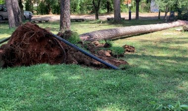 TANCAT EL PARC DEL PINELL DE TREMP PELS DANYS PER VENT
