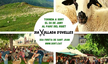 SORT RECUPERARÀ L’EXHIBICIÓ DE XOLLADA D’OVELLES PER SANT JOAN