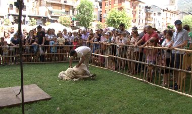 SORT RECUPERA LA XOLLADA D’OVELLES DE SANT JOAN, ON VOL POSAR EN VALOR LA CULTURA RAMADERA