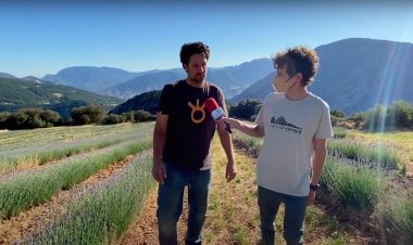 L'espígol i els dies tenyits de lila: Connecta Lleida Pirineus 29 de juny