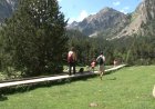 FGC I ESPAIS PROTEGITS DE L’ALT PIRINEU IMPULSEN ACCIONS PER PRESERVAR LA BIODIVERSITAT