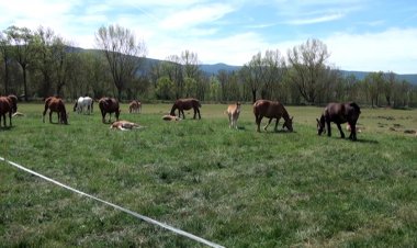 LA CONVOCATÒRIA LEADER 2021 APORTARÀ MÉS DE 3M D’EUROS A 16 PROJECTES