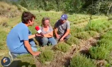 El món de les herbes aromàtiques i medicinals: Connecta Lleida Pirineus 6 de juliol