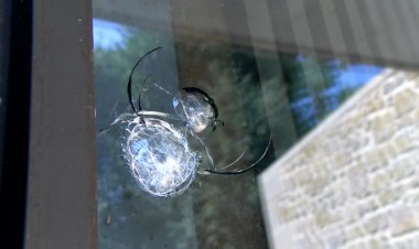 BASSELLA EMPRENDRÀ MESURES CONTRA ACTES VANDÀLICS EN EQUIPAMENTS MUNICIPALS