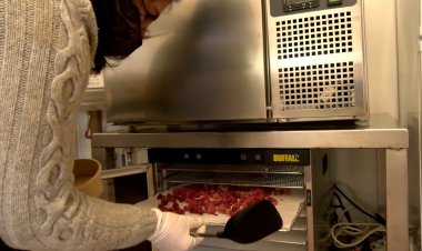 LA BARROTA, FRUITS DEL BOSC QUE ARRELEN A CERDANYA