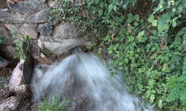ES RECUPERA L’ANTIGA BASSA AGRÍCOLA I LA SECLA DELS PRATS DE LA SOLANA DE VILAMUR