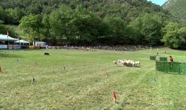 UN PASTOR MALLORQUÍ GUANYA LA 34a EDICIÓ DEL CONCURS DE GOSSOS D’ATURA DE LLAVORSÍ
