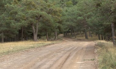 LA GENERALITAT REPLANTEJA EL PROJECTE PER ASFALTAR L’ACCÉS A L’ESTACIÓ DE VIRÓS VALLFERRERA