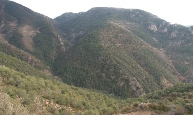 ELABOREN NOU MATERIAL INFORMATIU SOBRE LA BRAMA DEL CÉRVOL A BOUMORT