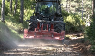 ARRANJAMENT DE LA XARXA VIÀRIA BÀSICA DE LA RESERVA NACIONAL DE CAÇA DEL BOUMORT