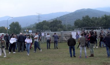 LA POBLETA DE BELLVEÍ CELEBRA AQUEST CAP DE SETMANA LA FIRA RAMADERA