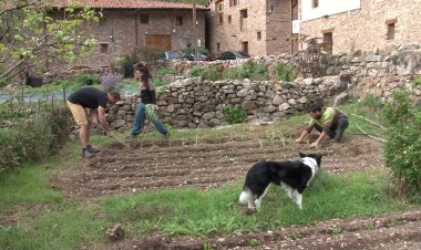UNA COOPERATIVA A BALESTUI POSA A DISPOSICIÓ TERRES PER A PETITS PROJECTES AGRARIS I RAMADERS