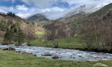 ES VALORA POSITIVAMENT EL GRAU DE COMPLIMENT DE LES RESTRICCIONS PER ACCEDIR A BONABÉ