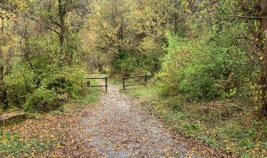 6 ESPAIS DE L’ALT PIRINEU I ARAN FORMEN PART DE LA INICIATIVA "BANYS DE BOSC"