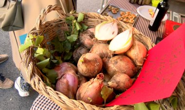 COLL DE NARGÓ PROMOCIONA ESPORT I PRODUCTE LOCAL EN LA FESTA I FIRA DE MUNTANYA