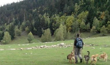 El vaquer de Bonabé: Connecta Lleida Pirineus 25 d’octubre