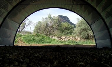 NEIX A ORGANYÀ EL PRIMER CULTIU DE GÍRGOLES ECOLÒGIQUES A CATALUNYA