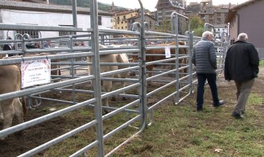 18 EXPLOTACIONS RAMADERES HAN PARTICIPAT A LA FIRA DE TOTS SANTS DE VILALLER