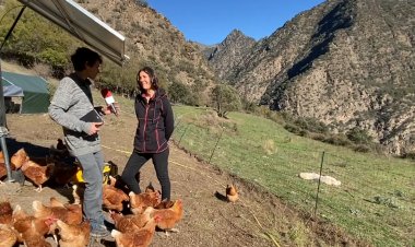 Gallines en caravana: Connecta Lleida Pirineus 14 de novembre