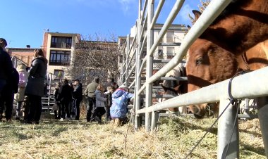 ORGANYÀ CELEBRA LA FIRA DE SANT ANDREU DIUMENGE I PROGRAMA ACTIVITATS EL DISSABTE