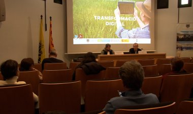 LA TRANSFORMACIÓ DIGITAL PER POTENCIAR LES EMPRESES EN L’ÀMBIT RURAL