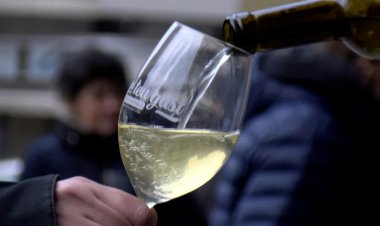 PRESENTACIÓ DE LES NOVES ANYADES DE VINS PIRINENCS I PROMOCIÓ DE LA CARN DE CAÇA