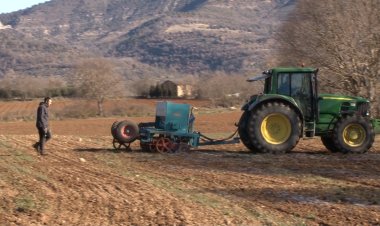 ESTUDI SOBRE NOUS CULTIUS I GESTIÓ DEL SÒL EN 3 CAMPS DEL PALLARS JUSSÀ