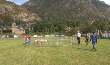 EL GURE SHEEPDOG TRAIL DE LA VALL DE BOÍ SE CELEBRARÀ AL JUNY
