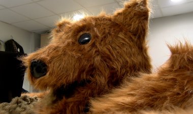 DESPRÉS DE 100 ANYS LA SEU D’URGELL TORNARÀ A VIURE EL BALL DE L’OSSA