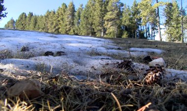 LES ALTES TEMPERATURES AVANCEN EL TANCAMENT DE LA TEMPORADA DE NÒRDIC