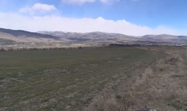 CERDANYA ENTRA EN SITUACIÓ DE RISC D'INCENDI ALT O MOLT ALT