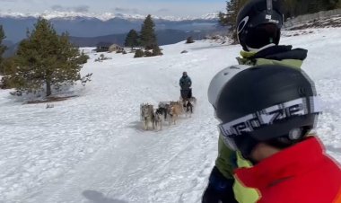Deixar-se conduir pels huskies: Connecta Lleida Pirineus 15 de març