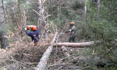 SORIGUERA ACULL UN PLA PILOT QUE ADAPTA EL PAISATGE PIRINENC AL CANVI GLOBAL