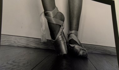 ALUMNAT DE BATXILLERAT ARTÍSTIC MOSTREN ELS SEUS PROJECTES EN L’EXPOSICIÓ ‘ART EN MOVIMENT’